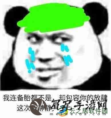 我连备胎都不是却包容你的放肆表情包