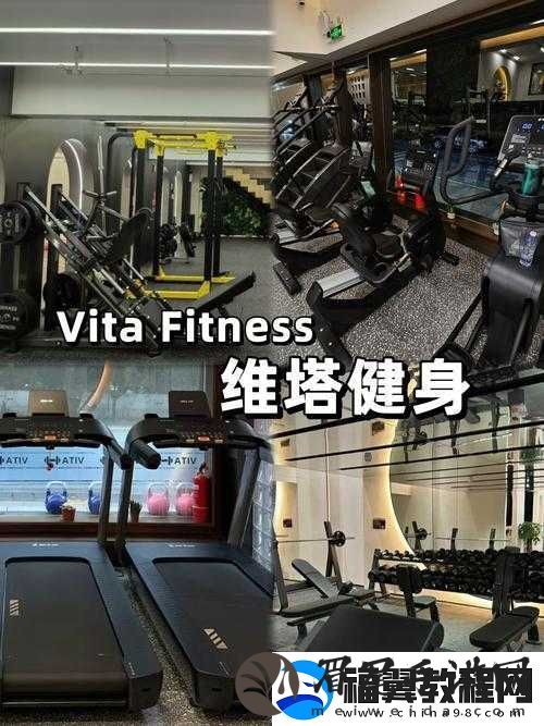 世界调制系统模式健身房