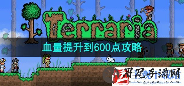 泰拉瑞亚怎么把血量提升到600点