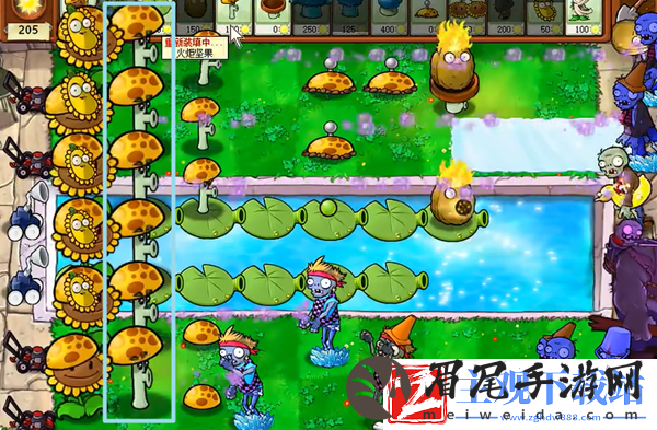 植物大战僵尸杂交版冒险13关怎么过