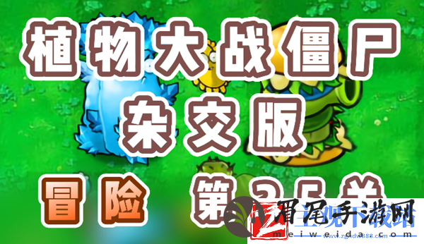 植物大战僵尸杂交版冒险25关怎么过-植物大战僵尸杂交版冒险25关攻略