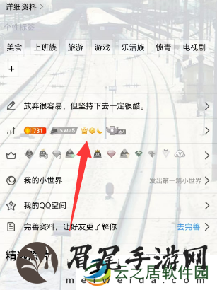qq等级全球排行榜在哪看