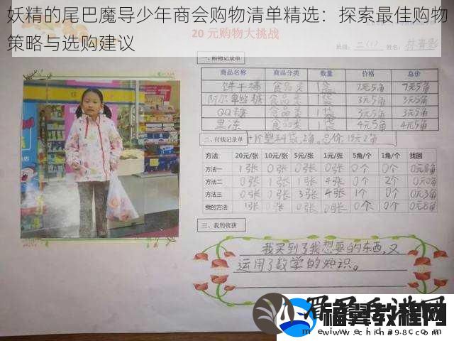 妖精的尾巴魔导少年商会购物清单精选