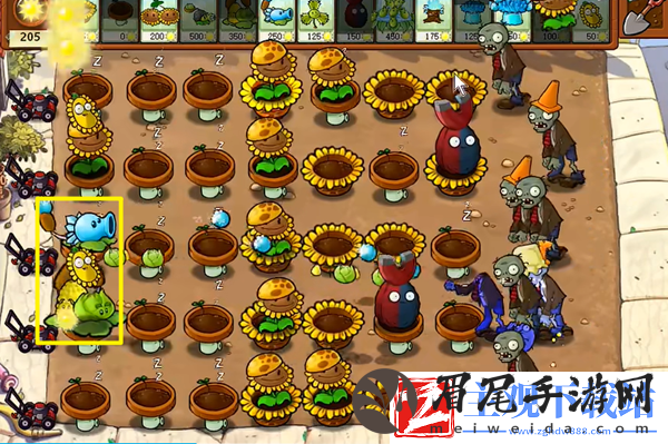 植物大战僵尸杂交版冒险25关怎么过