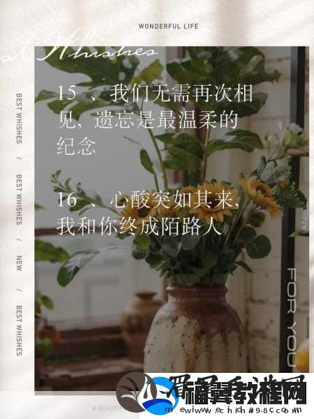 老婆说想找个陌生人试试复合