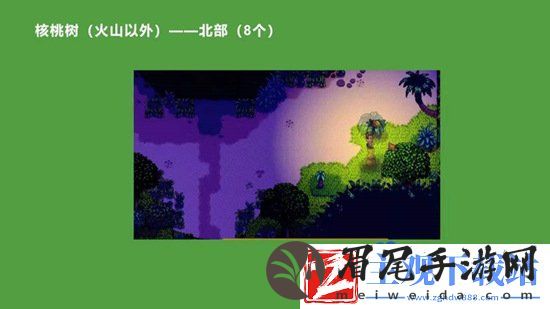 星露谷物语金核桃在哪