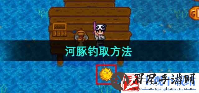 星露谷物语河豚在哪钓