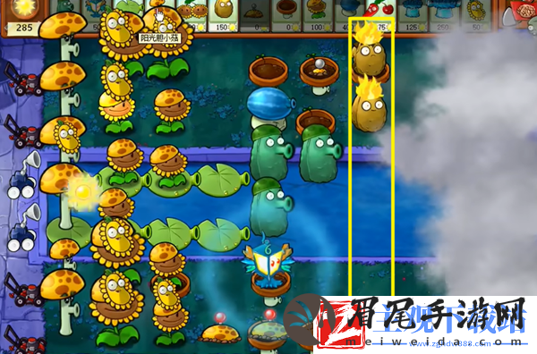 植物大战僵尸杂交版冒险19关怎么过