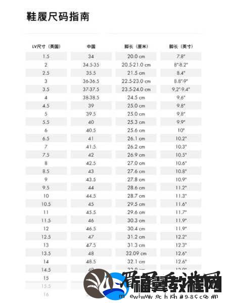 解读欧洲LV尺码大