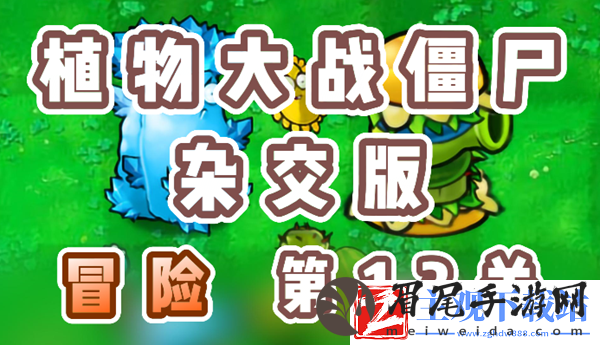 植物大战僵尸杂交版冒险13关怎么过-植物大战僵尸杂交版冒险13关攻略