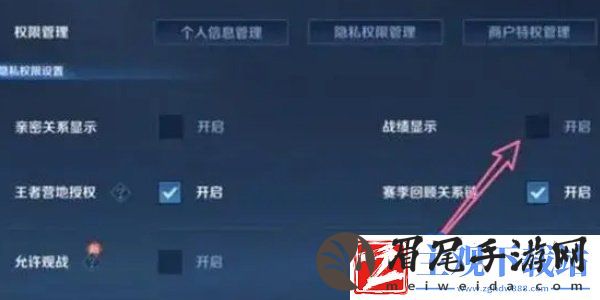 王者荣耀怎么隐藏战绩