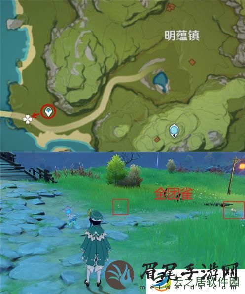 原神金团雀在哪里捕捉 原神金团雀在什么地方刷新