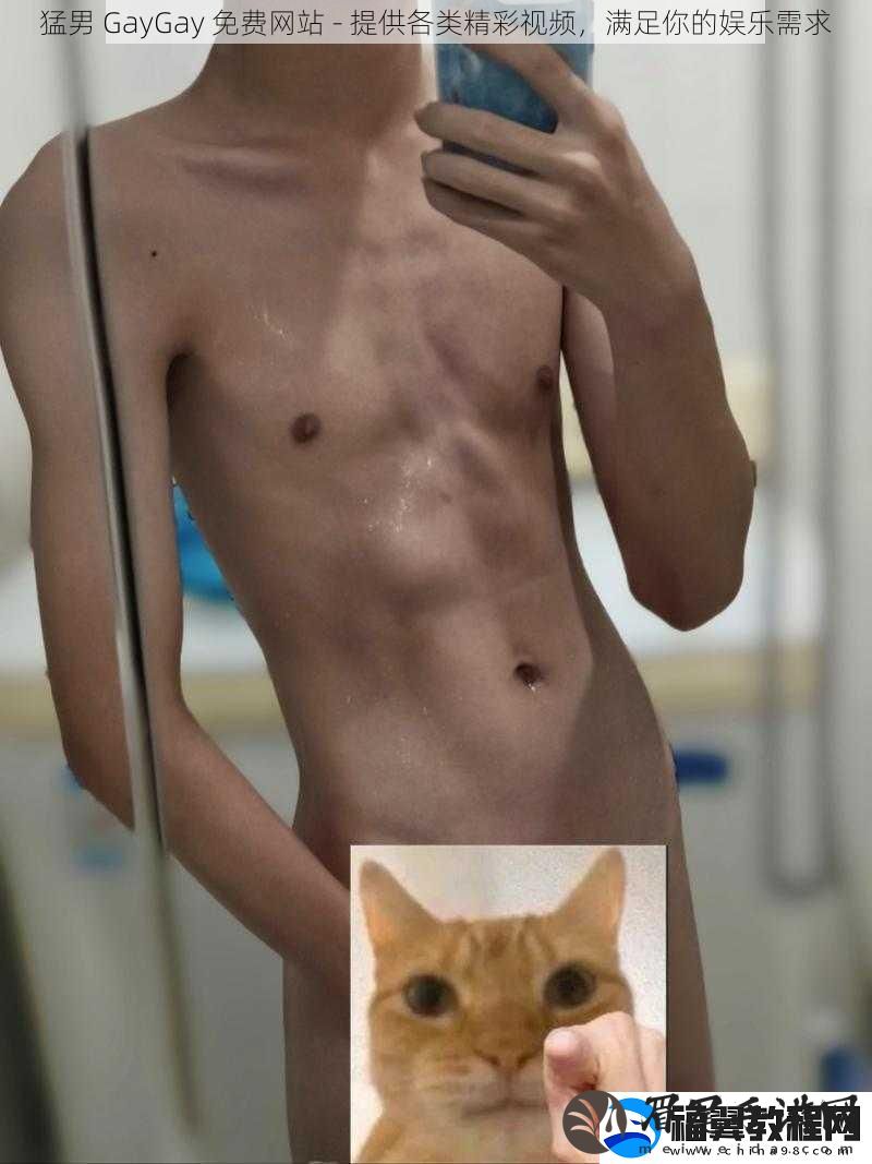 猛男-GayGay-免费站-提供各类精彩视频-满足你的娱乐需求