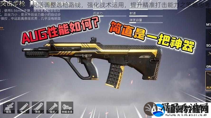 和平精英：灵活调整选枪路线-强化战术运用-提升精准打击能力之策略思考