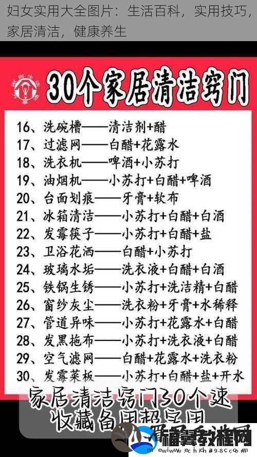 妇女实用大全图片