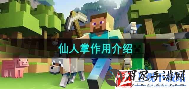 我的世界仙人掌有什么用