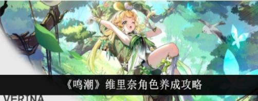 鸣潮维里奈角色怎么养成