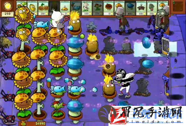 植物大战僵尸杂交版仙人三叶草玩法攻略
