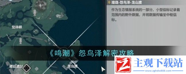 鸣潮怨鸟泽解密怎么完成