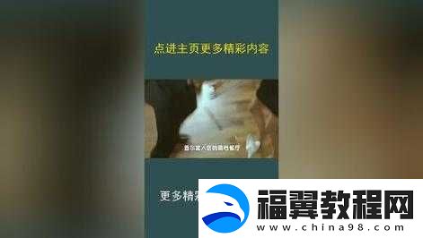 福清大地影院今日电影放映：精彩佳片震撼来袭不容错过
