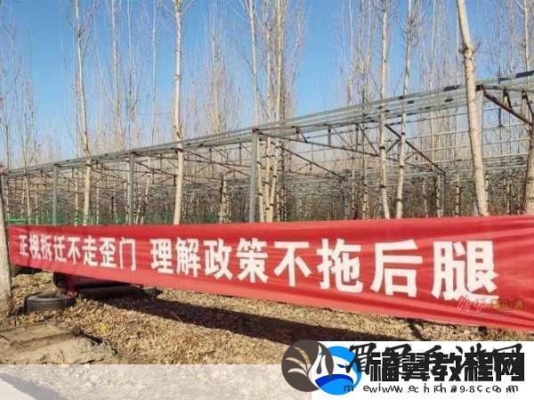 英雄城市拆迁队