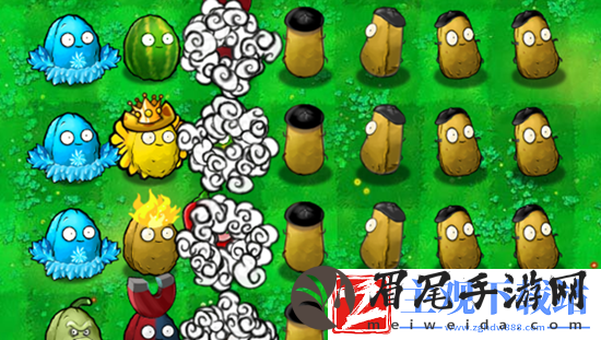 植物大战僵尸杂交版坚果模仿者介绍