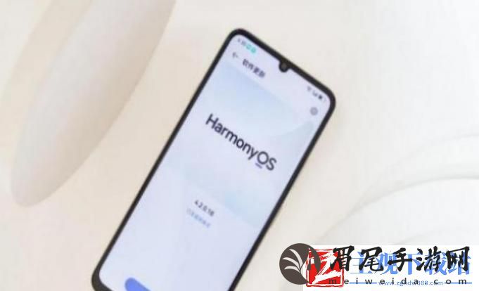 华为畅享70S用的是什么接口