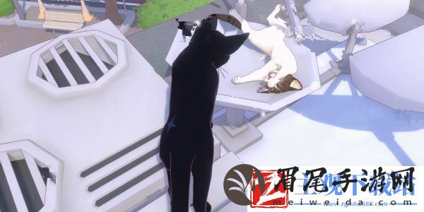 小猫咪大城市等待一缕阳光成就怎么过