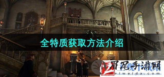 霍格沃茨之遗特质怎么获得
