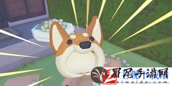 小猫咪大城市柴犬帽怎么获得