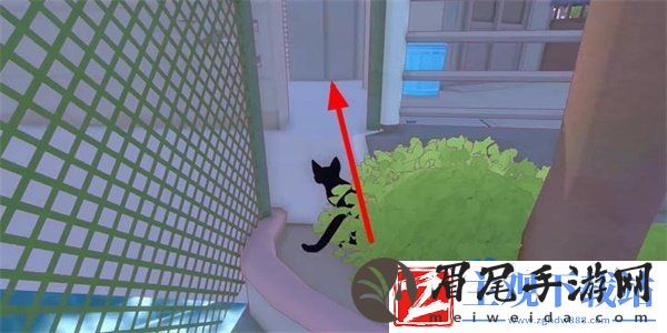 小猫咪大城市鲭鱼帽怎么收集