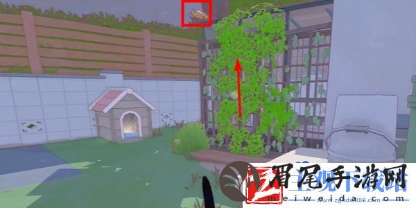 小猫咪大城市柴犬帽怎么获得