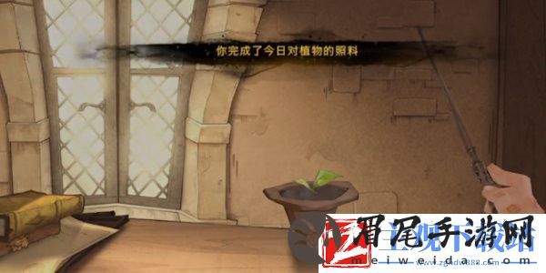 哈利波特魔法觉醒怎么种植物