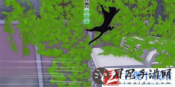 小猫咪大城市向日葵帽怎么收集