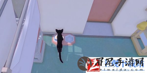 小猫咪大城市等待一缕阳光成就怎么过