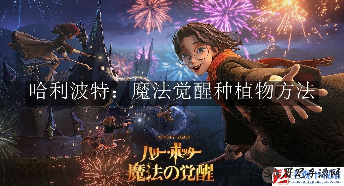哈利波特魔法觉醒怎么种植物 哈利波特魔法觉醒种植物方法