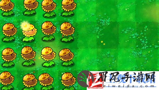植物大战僵尸杂交版阳光向日葵介绍-植物大战僵尸杂交版阳光向日葵有什么用