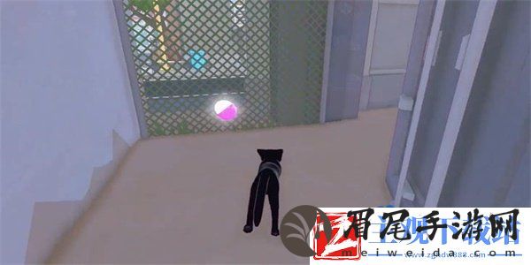 小猫咪大城市茄子帽怎么收集