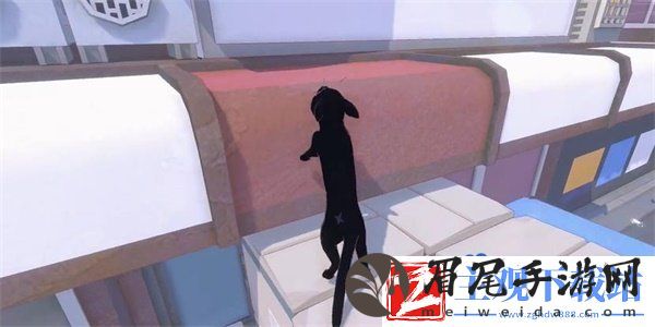 小猫咪大城市老虎帽怎么收集