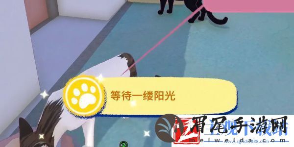 小猫咪大城市等待一缕阳光成就怎么过