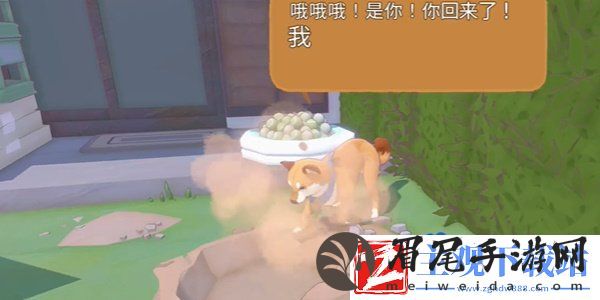 小猫咪大城市柴犬帽怎么获得
