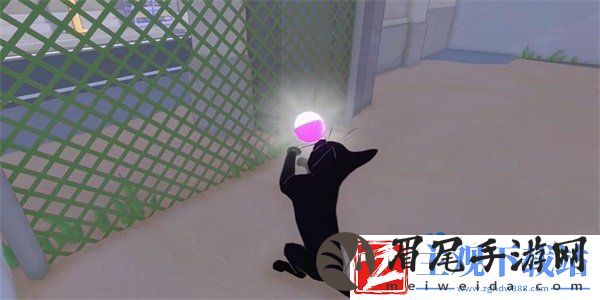 小猫咪大城市茄子帽怎么收集
