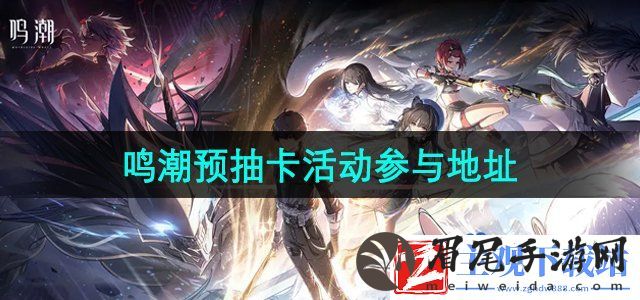 鸣潮预抽卡活动在哪参与-预抽卡活动参与地址
