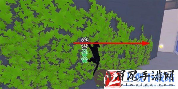 小猫咪大城市老虎帽怎么收集