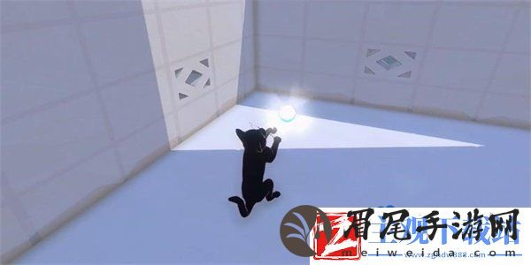 小猫咪大城市鲭鱼帽怎么收集