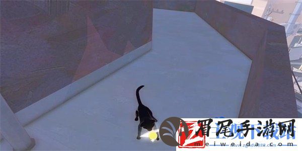 小猫咪大城市向日葵帽怎么收集