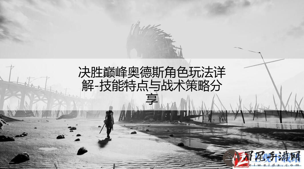 决胜巅峰奥德斯角色玩法详解-技能特点与战术策略分享