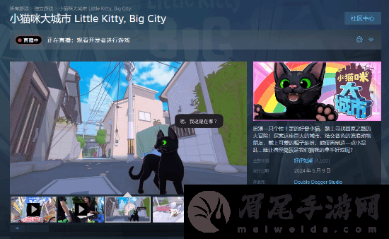 小猫咪大城市价格是多少