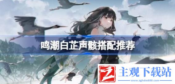 鸣潮白芷声骸怎么搭配