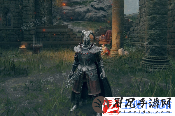 《艾尔登法环》最好用的套装有哪些